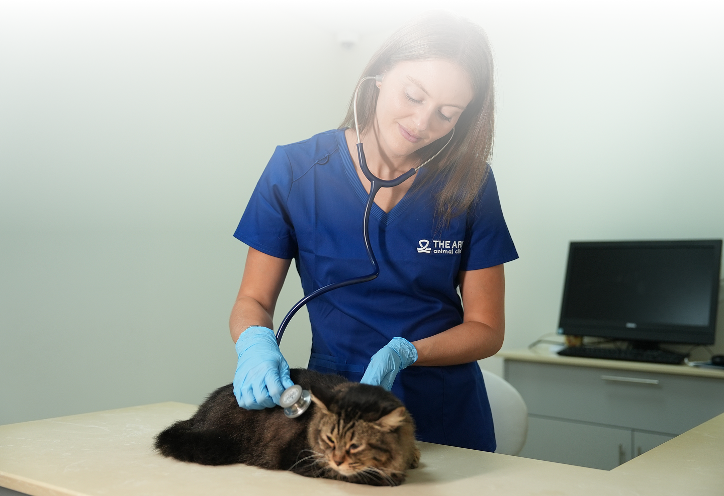 Our veterinarian examining a pet
