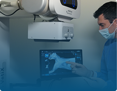 Diagnostic Imaging in Arjan