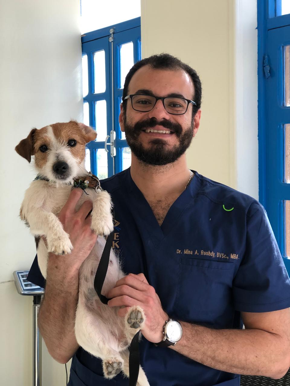 Dr. Mina Roshdy