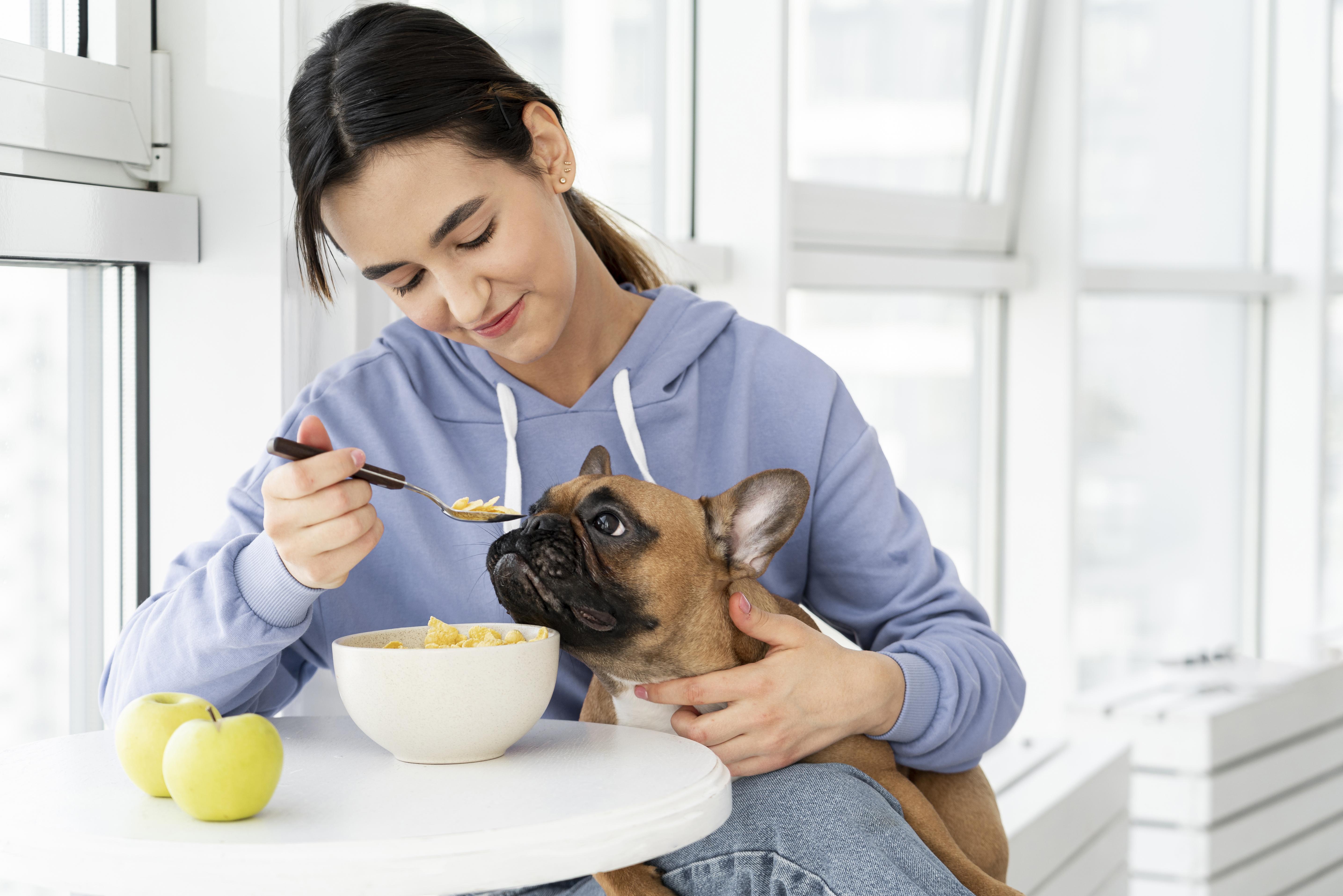 Nutritious Food for Pets