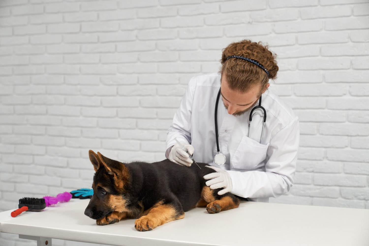 puppy vaccination in Dubai
