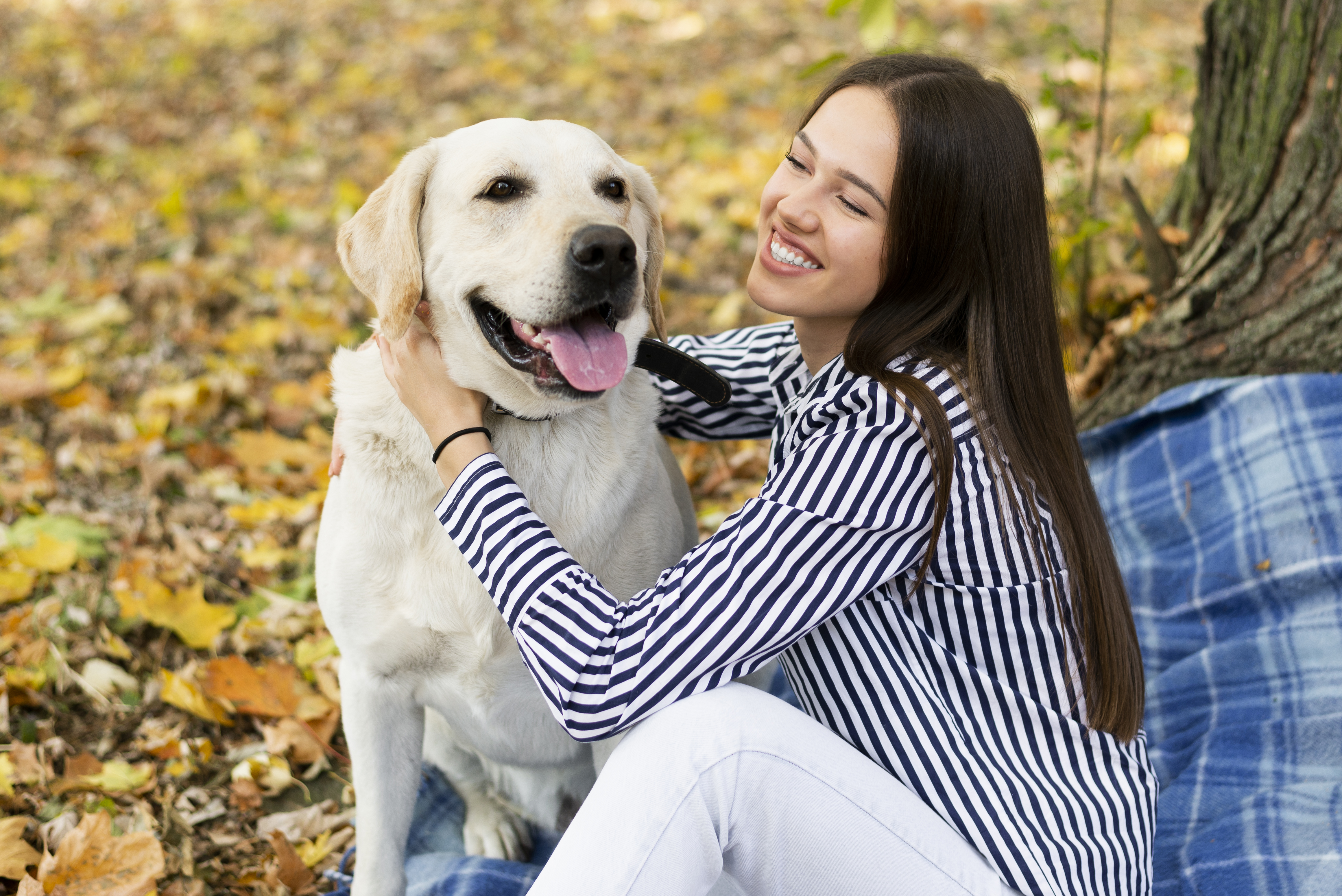 pet-neutering